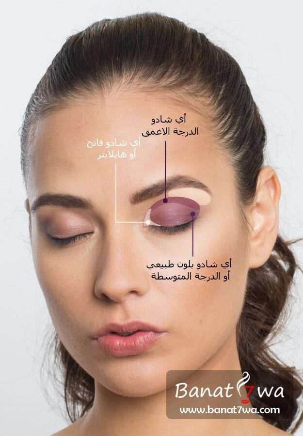 الايشادو – والهايلايتر
