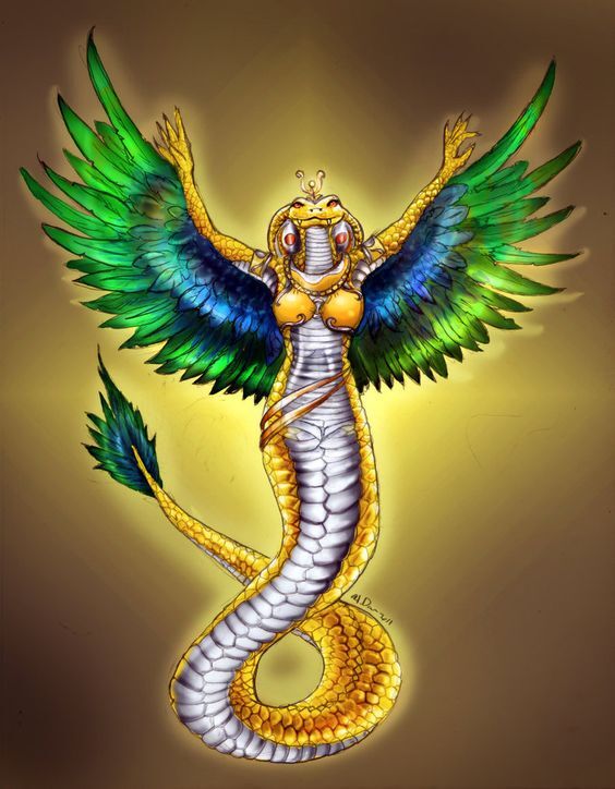 وادجت