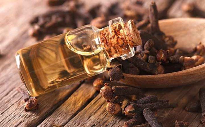 زيت القرنفل