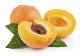 مشمش