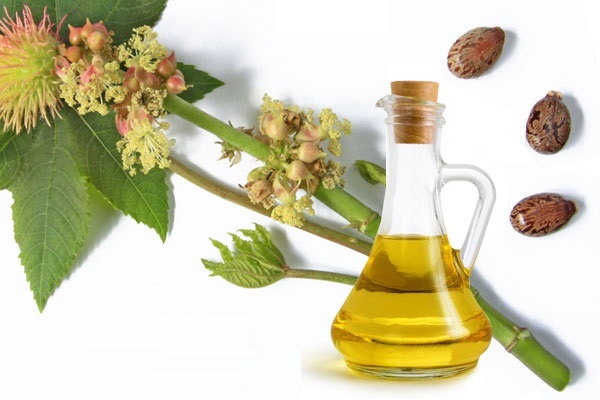 وصفة زيت الخروع