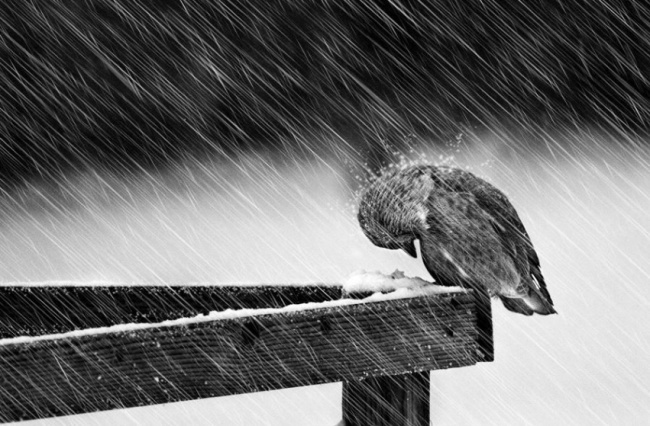 خدع هتخلي صورك تطلع باحترافية 11