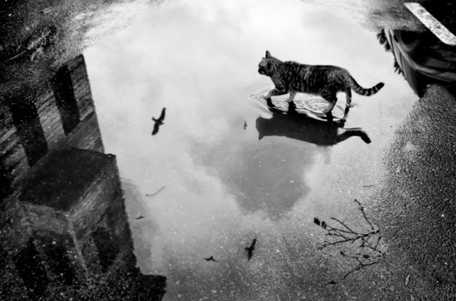 خدع هتخلي صورك تطلع باحترافية 32
