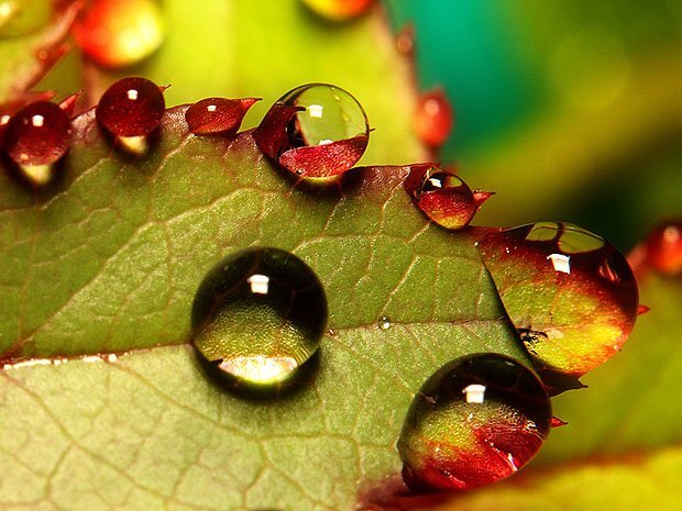 خدع هتخلي صورك تطلع باحترافية 43