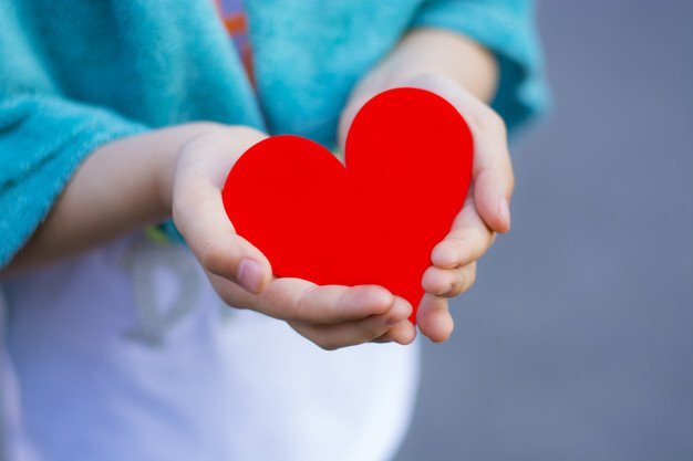 red heart in child s hand_3067 120