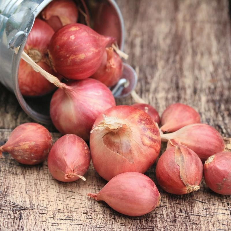 علاجات طبيعية لألم الاسنان 8