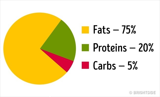 Ketogenic Diet 2