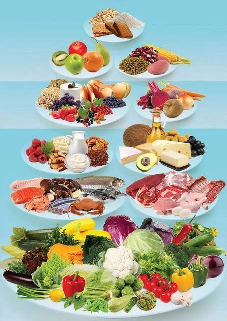 Ketogenic Diet 3