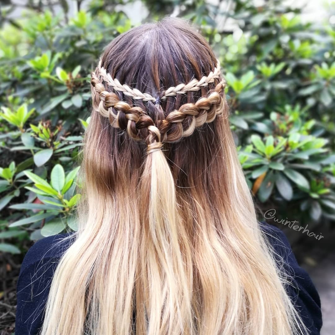 half up half down braids