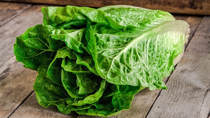 بدايل صحية للوجبات السريعة 8