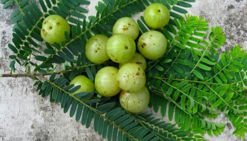 وصفات طبيعية للشعر 7
