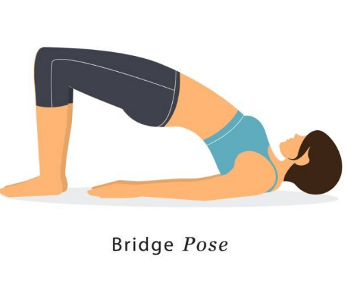 bridge pose