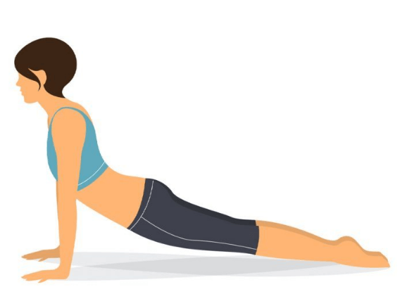 upward dog