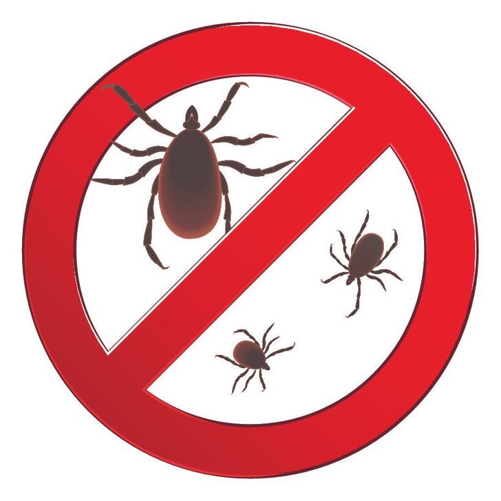 طرق للتخلص من الحشرات 2