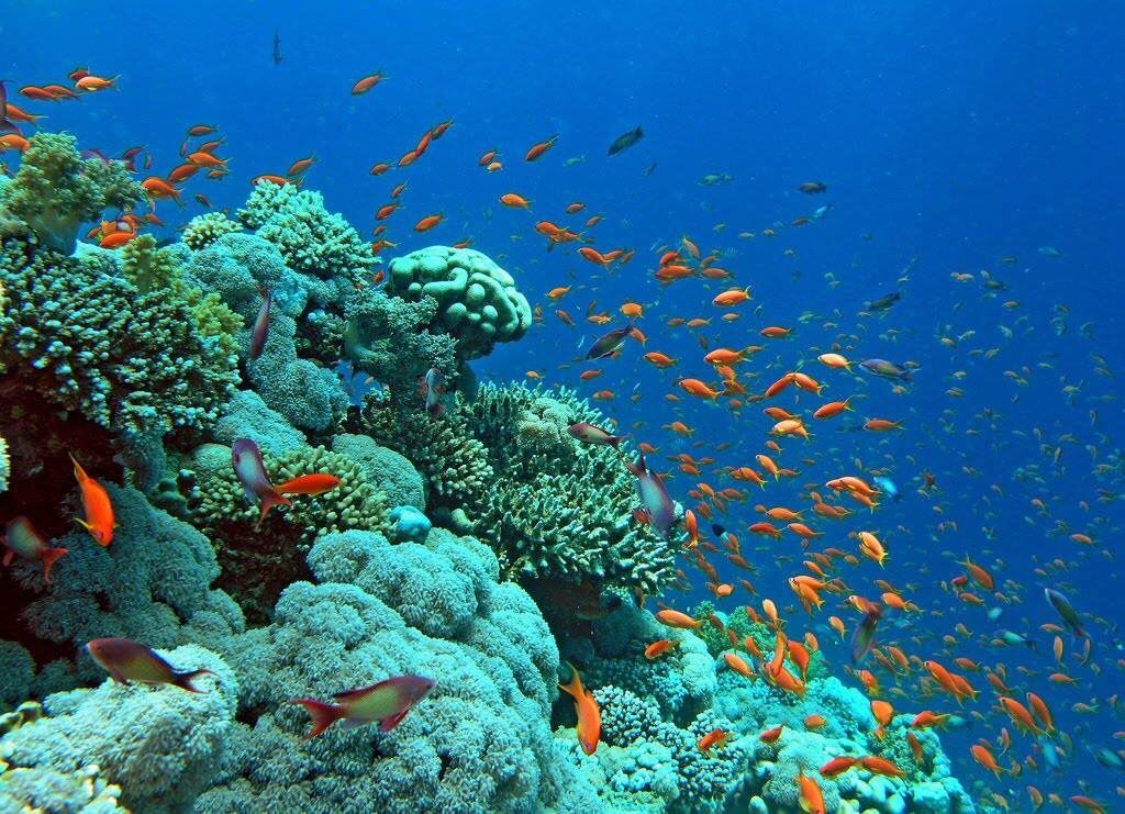 الثري بولز