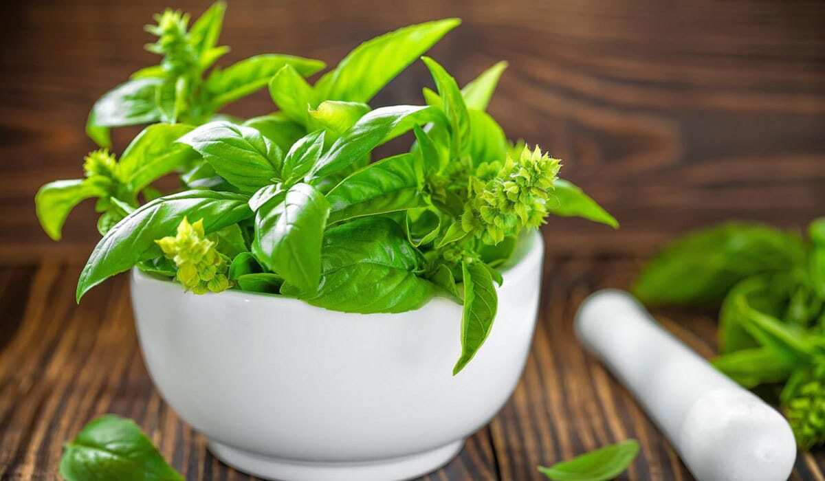 طرق طبيعية للتخلص من الامراض 2