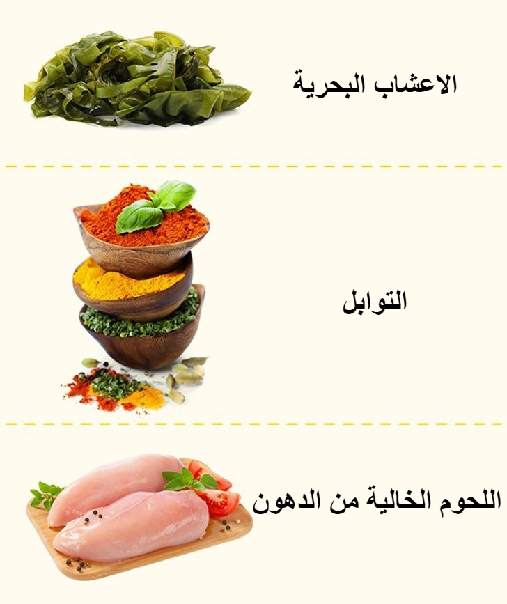 اطعمة صحية للحفاظ على الجسم 3