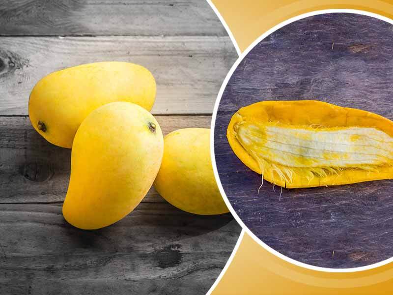 بذور فاكهة مفيدة للصحة 8