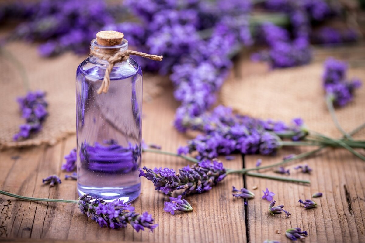 طرق طبيعية لعلاج التهاب الجيوب الانفية 4