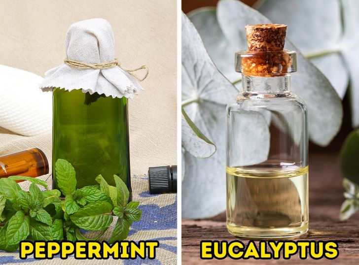 طرق طبيعية لازالة انسداد الانف 8