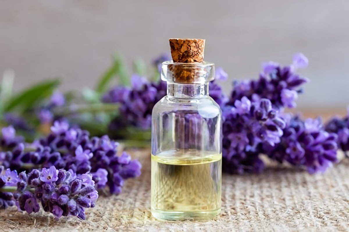 فوايد زيت اللافندر للبشرة 5