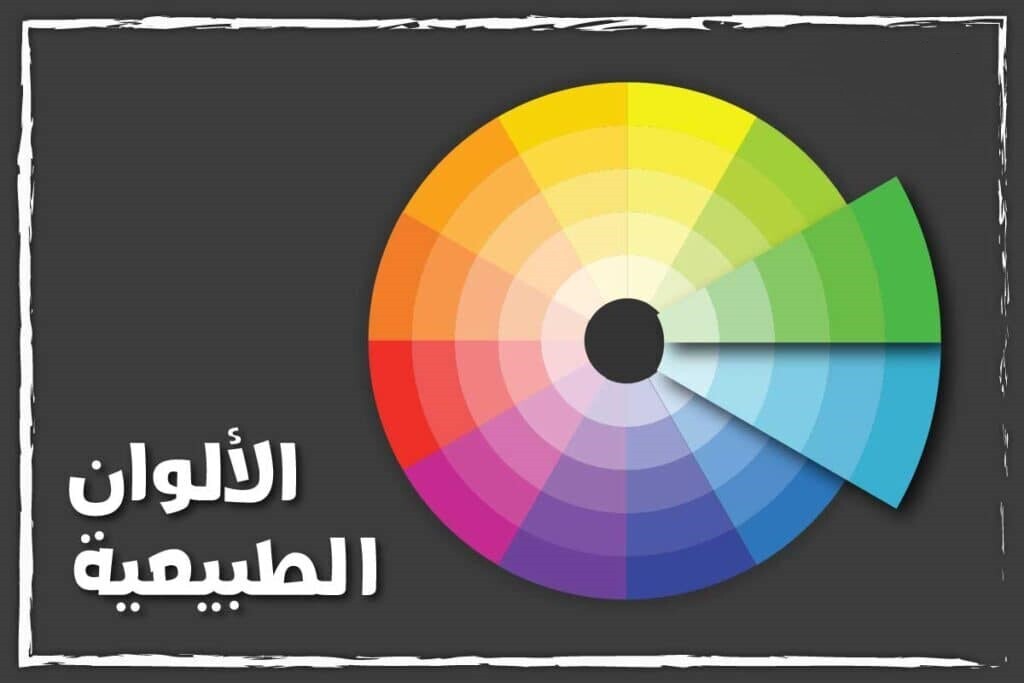 عجلة الوان المكياج 12