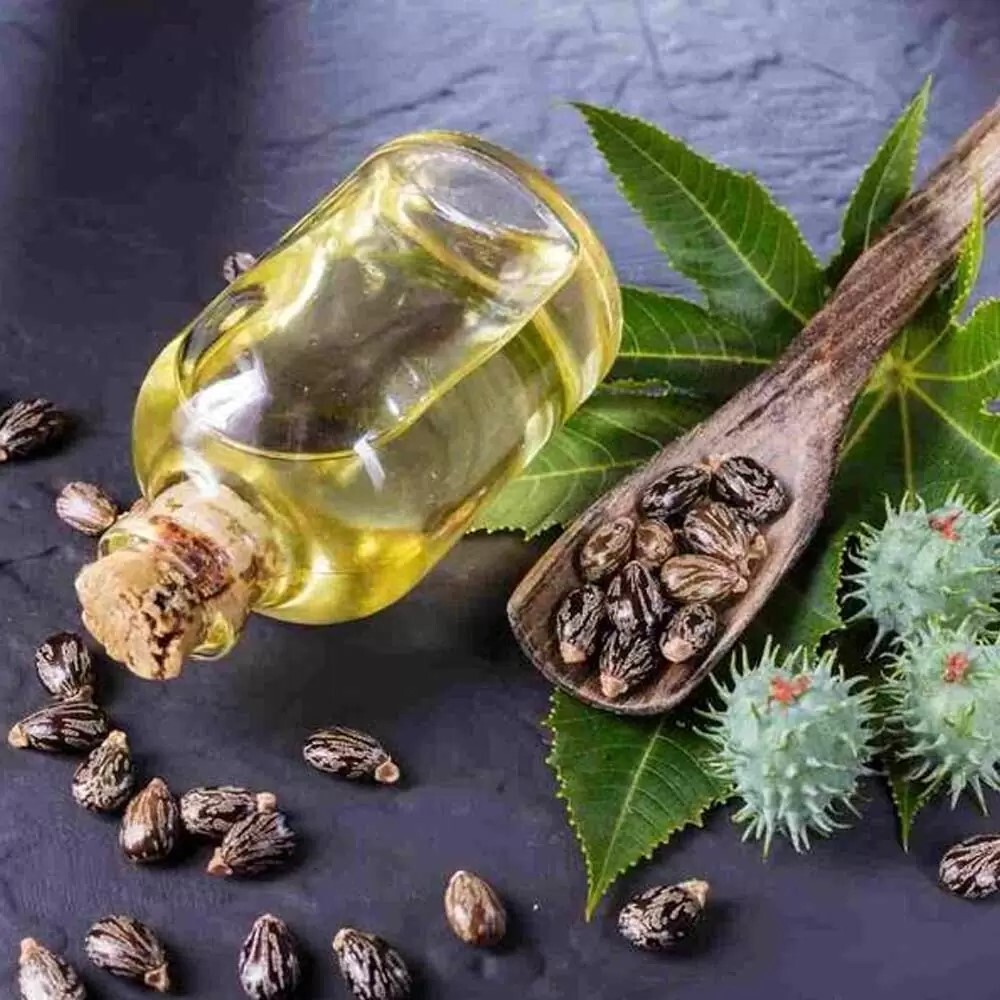 افضل زيوت الشعر 3