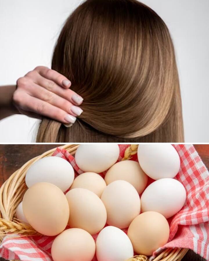 شامبو البيض الطبيعي 3