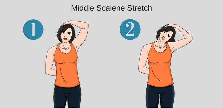 تمرين Chin-to-shoulder stretch تمرين Chin-to-shoulder stretch