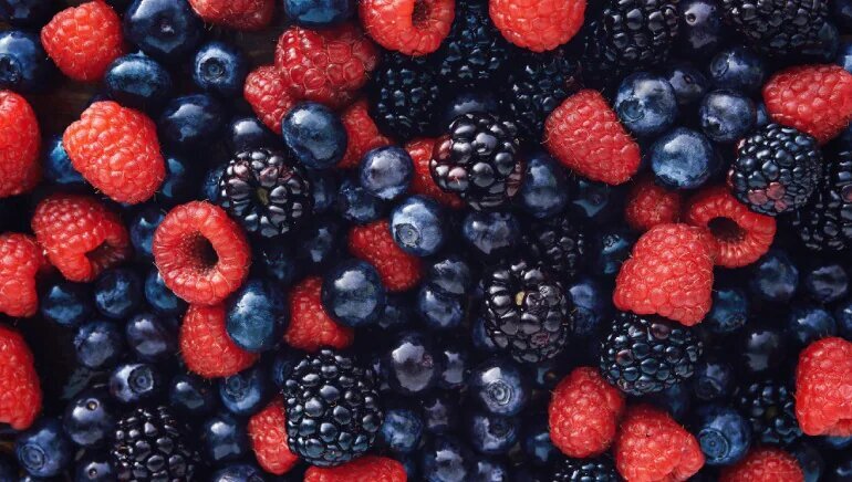 berries 2