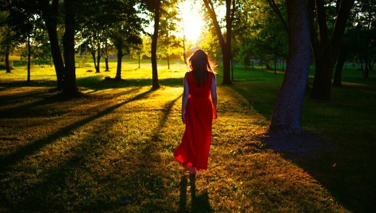 Forest bathing