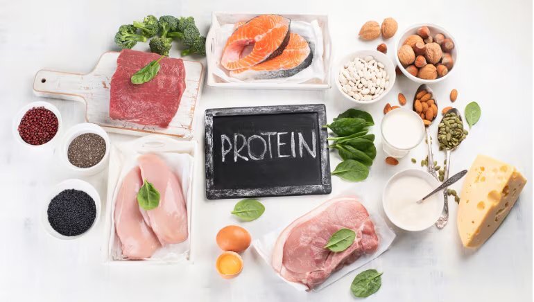 protein