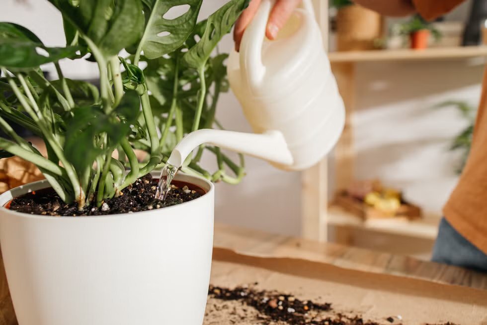 Refresh Your Home 1